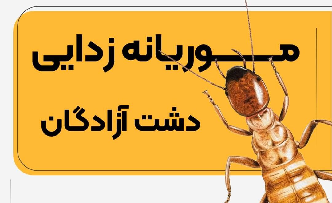 موریانه زدایی دشت آزادگان تضمینی 09163045090