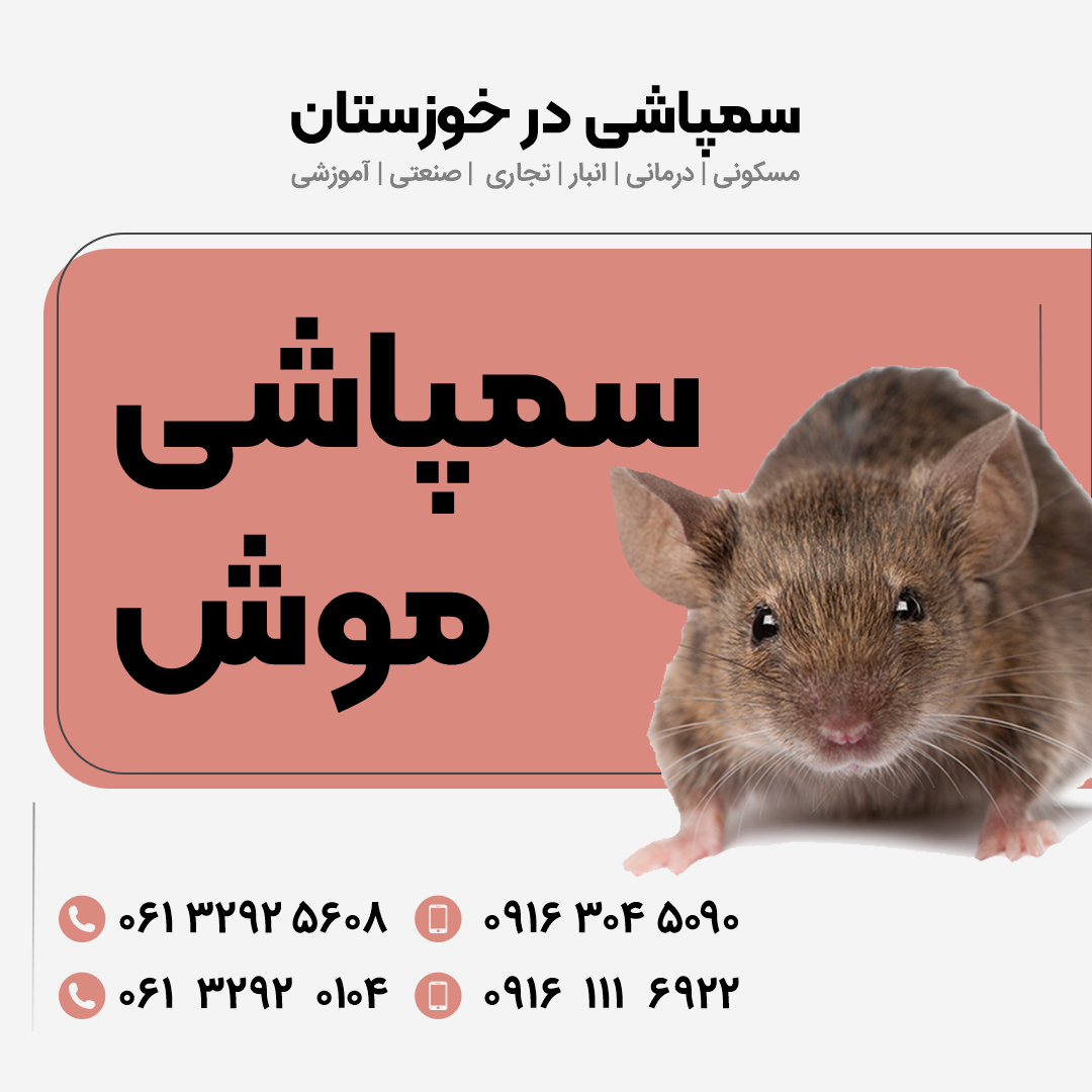سمپاشی موش تضمینی خوزستان 09163045090